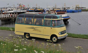 Bus 17 