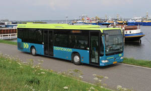 Bus 79 