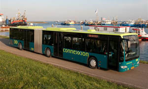 Bus 91 